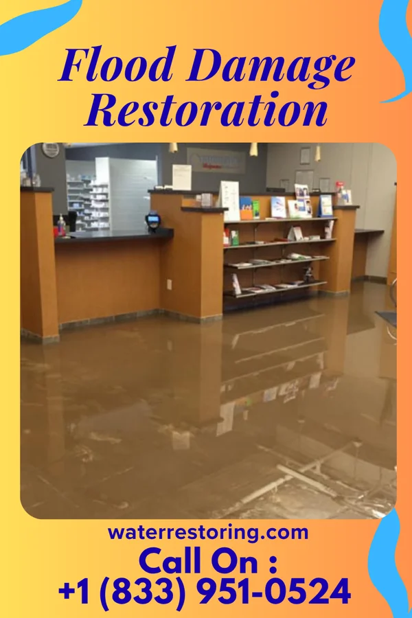 Flood Damage Restoration in Columbus, NC
