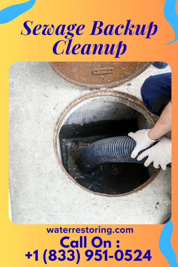 Sewage Backup Cleanup in Columbus, NC