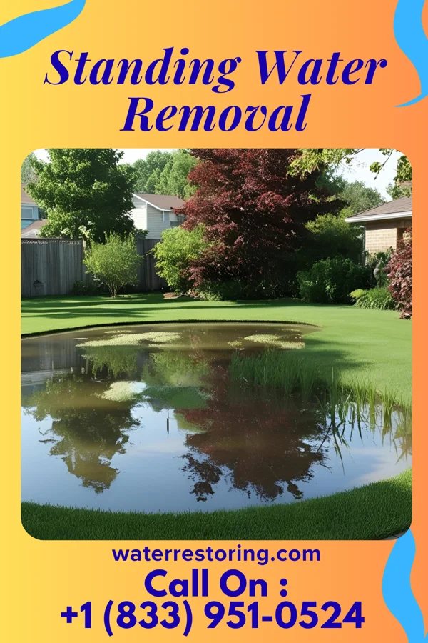 Standing Water Removal in Columbus, NC